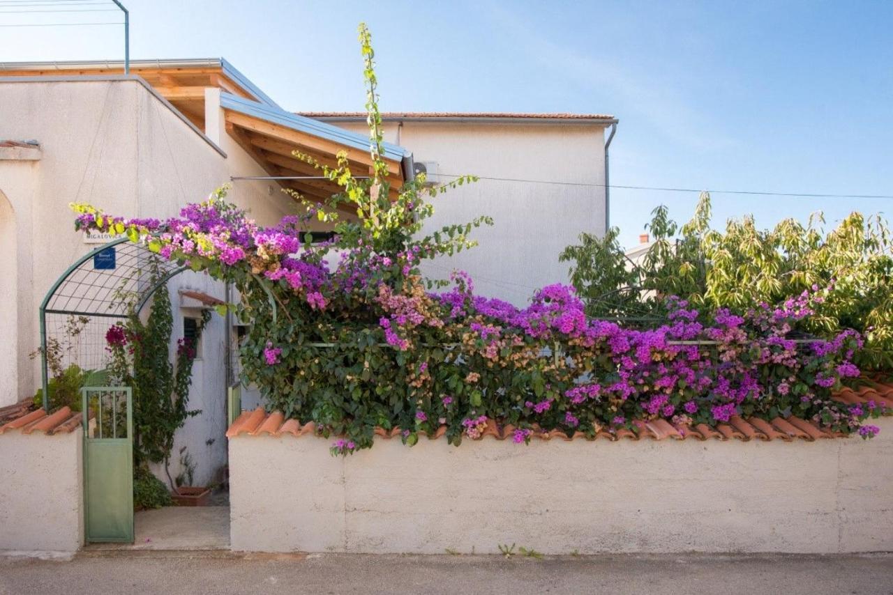 Apartments Anita Summer Vodice Exteriér fotografie